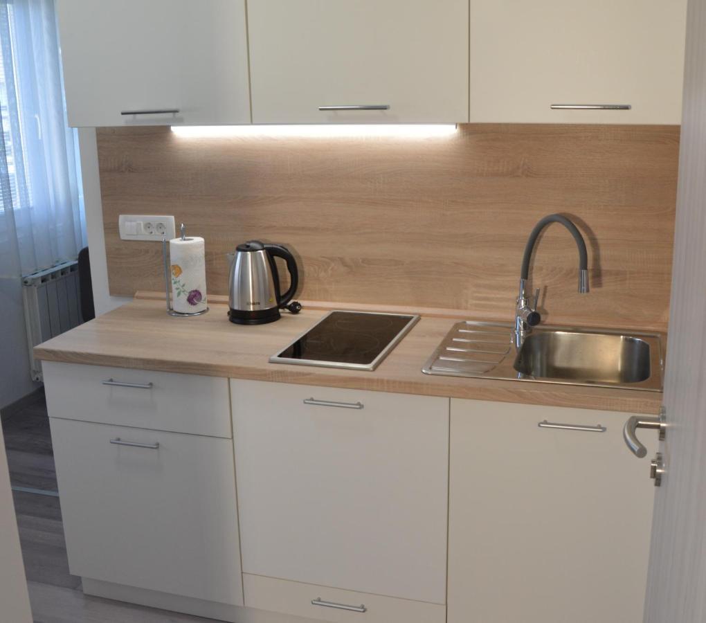 Apartma Vila Zigmund Cerknica Exterior photo